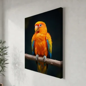 Poster about Animals